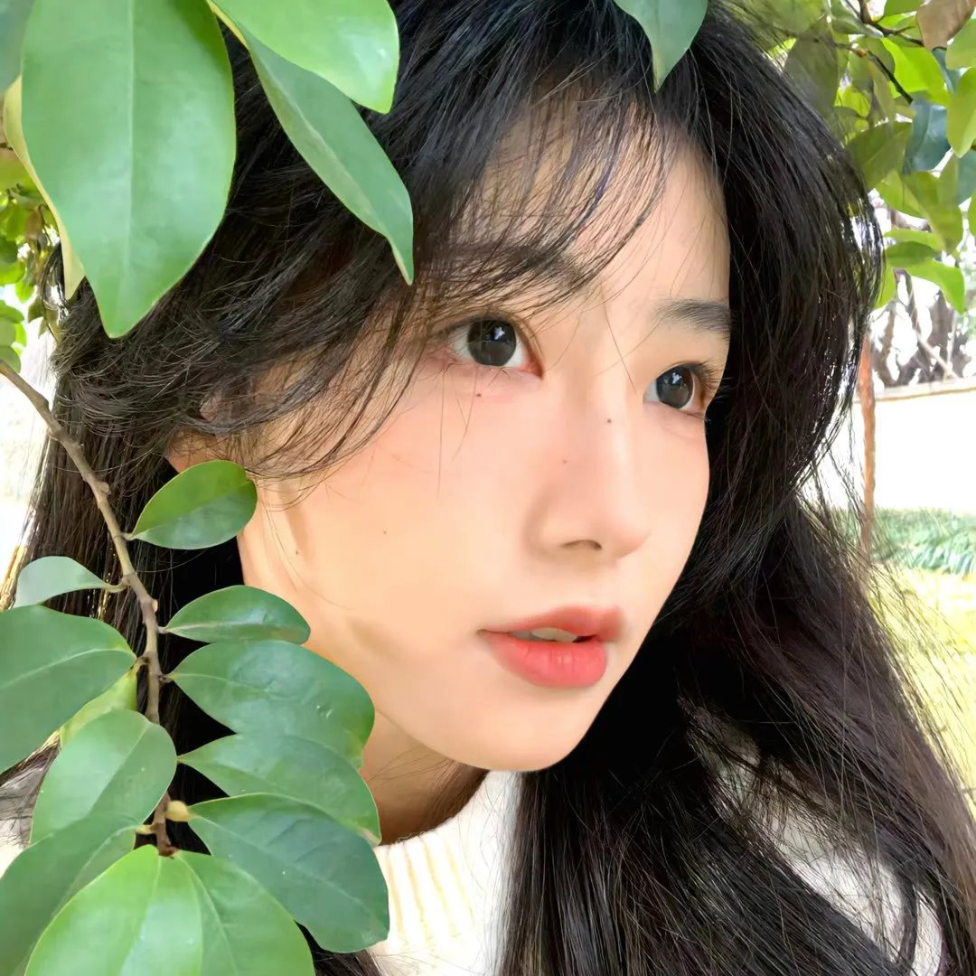 特雷弗·诺亚:但愿你可以